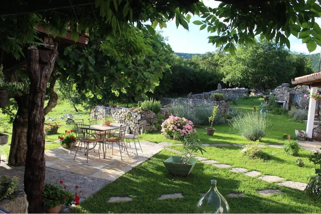 Villa Mavrici, Neighbors Free Buzet Buitenkant foto