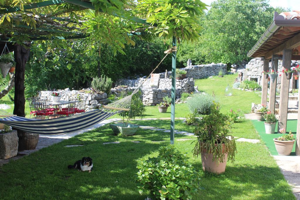 Villa Mavrici, Neighbors Free Buzet Buitenkant foto