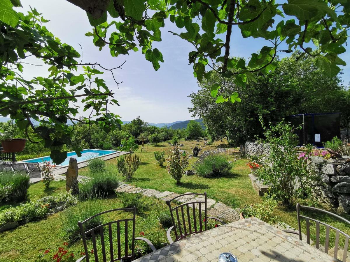 Villa Mavrici, Neighbors Free Buzet Buitenkant foto
